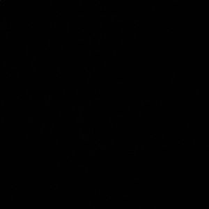 Meet your Posher, Kiley